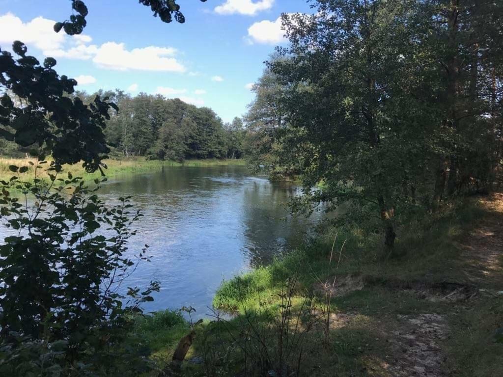 Zacisze Lesne Nad Pilica Bed & Breakfast Spała Exterior foto